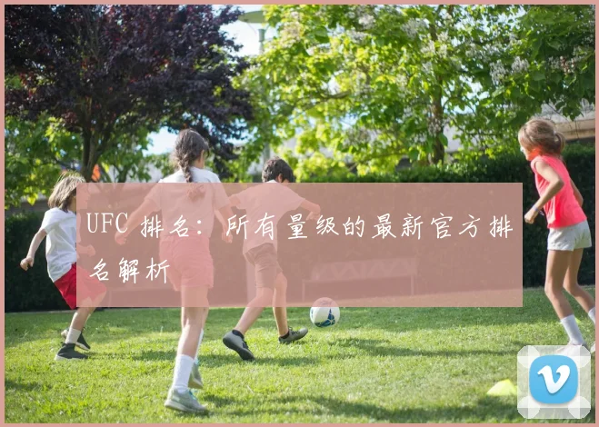 UFC 排名:所有量级的最新官方排名解析